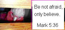 Bible verse