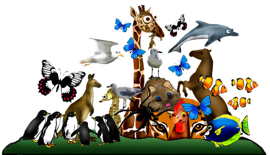 Animals picture linking to worksheet workbook