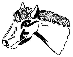 horse head