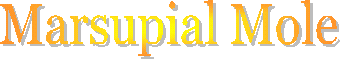marsupial mole
