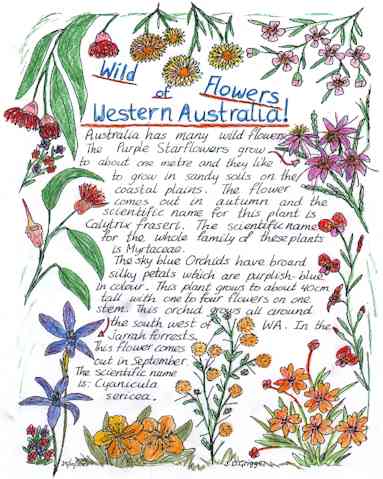 wild flowers project example