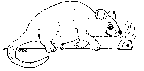 mouse with cheese