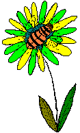 bee on a flower cartoon