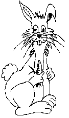 Rabbit