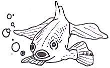 gold fish