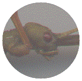 image page space