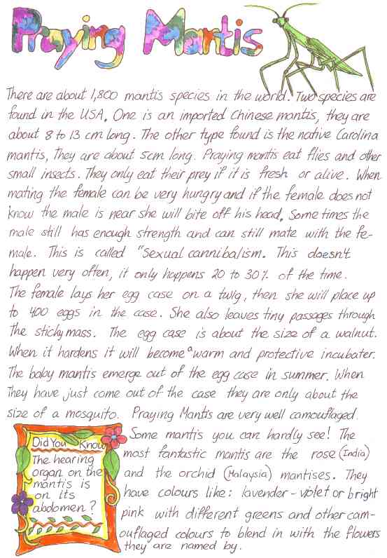 image page space