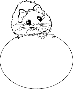 mouse sitting on ball