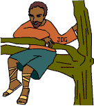zacchaeus